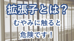 拡張子とは?むやみに触ると危険です。理由を簡単に実証いたします。