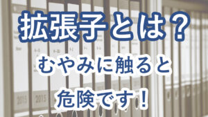 拡張子とは?むやみに触ると危険です。理由を簡単に実証いたします。